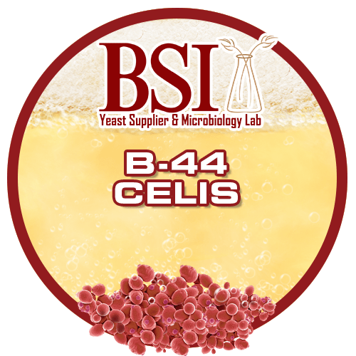 Celis Ale Yeast