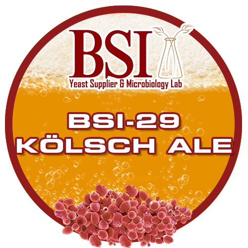 Kölsch Yeast