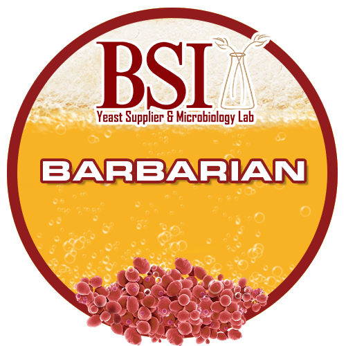 Barbarian Ale Yeast